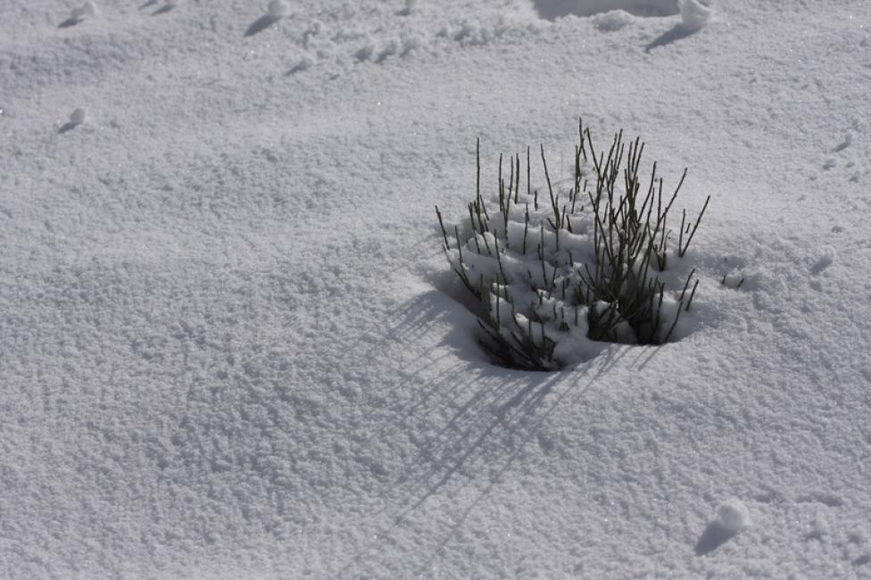 El rigor del invierno